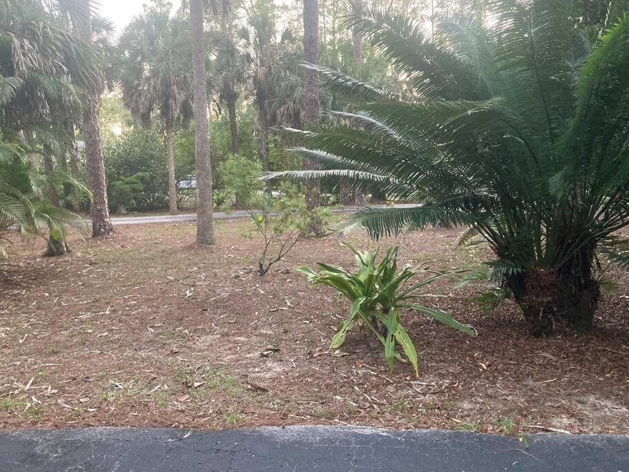 "Mia'S Place" Beautiful Private Apartment Surrounded By Nature North North Naples Kültér fotó
